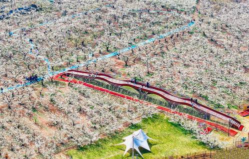 2025全国主流媒体滨州行|看全国主流媒体镜头里滨州生态答卷